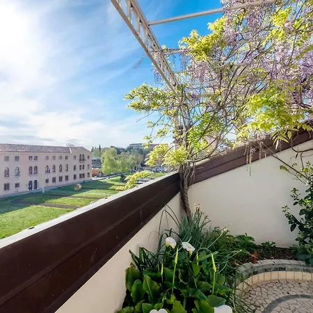 Penthouse In The Centre Lejlighed